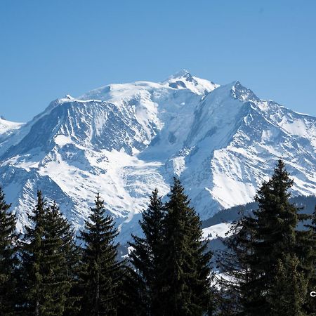 Hotel Chalet Alpen Valley, Mont-Blanc Combloux Exterior foto